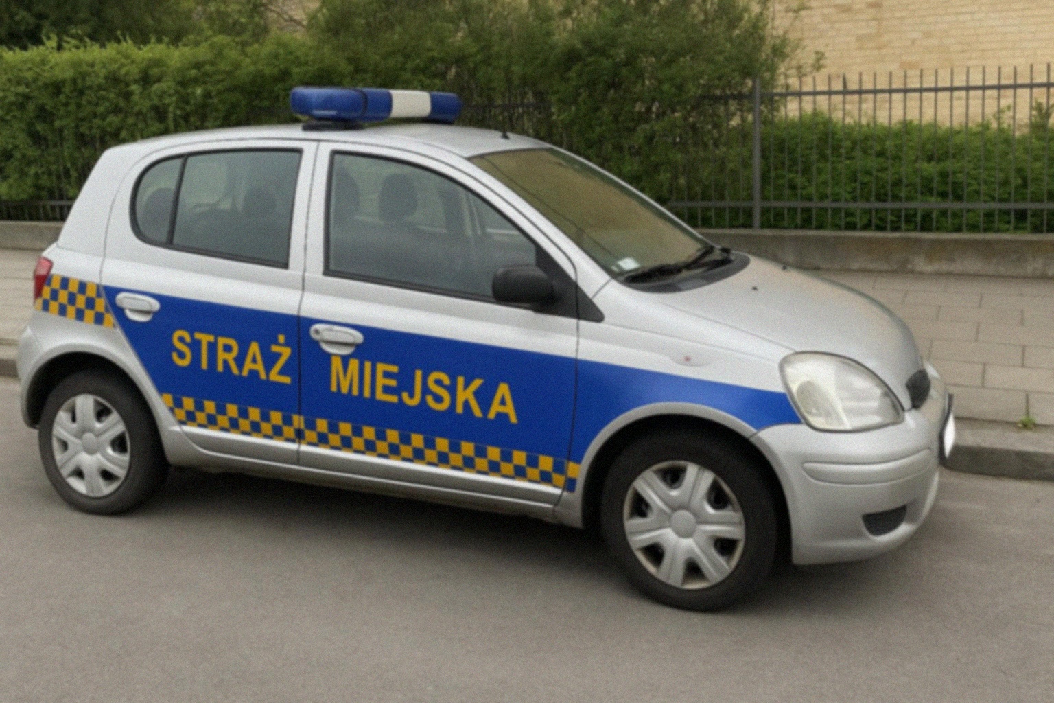 Co robić w przypadku spotkania z wężem w domu?