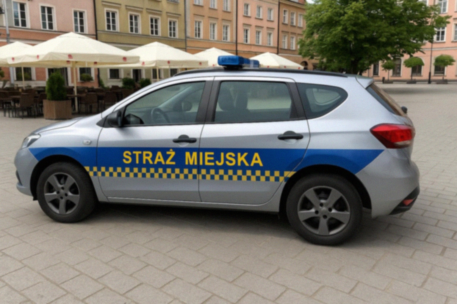 Jak pomóc młodym nietoperzom? Oto ważne wskazówki