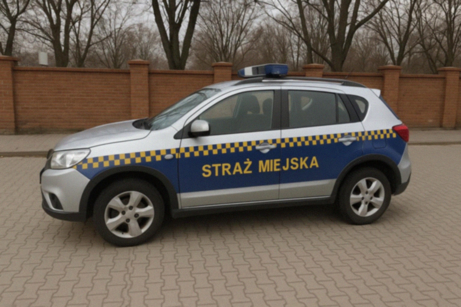 Niespodziewany gość w Łomiankach – Straż Miejska uratowała rannego lisa